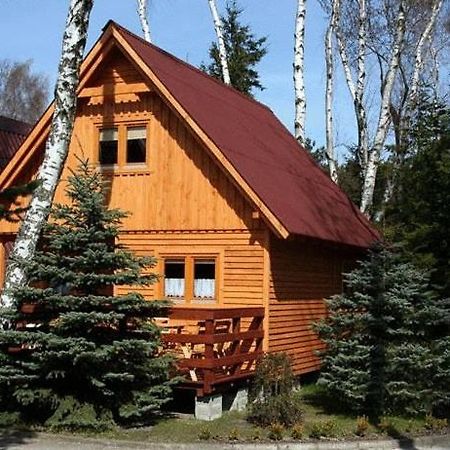 Filarówka Villa Łeba Dış mekan fotoğraf